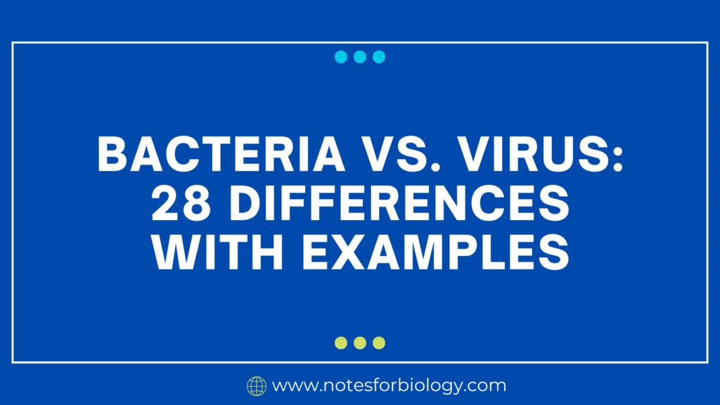 Bacteria vs. Virus: 28 Differences with Examples