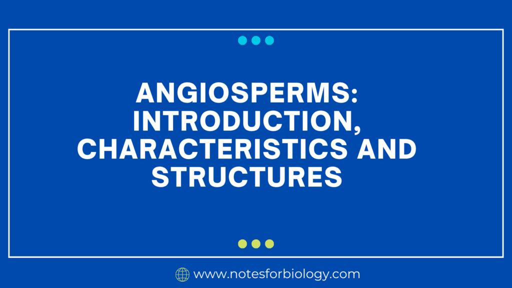 Angiosperms Introduction, Characteristics and Structures