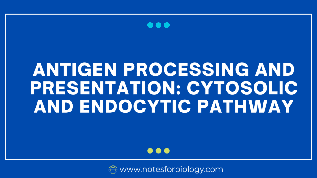 Antigen processing and presentation Cytosolic and Endocytic pathway
