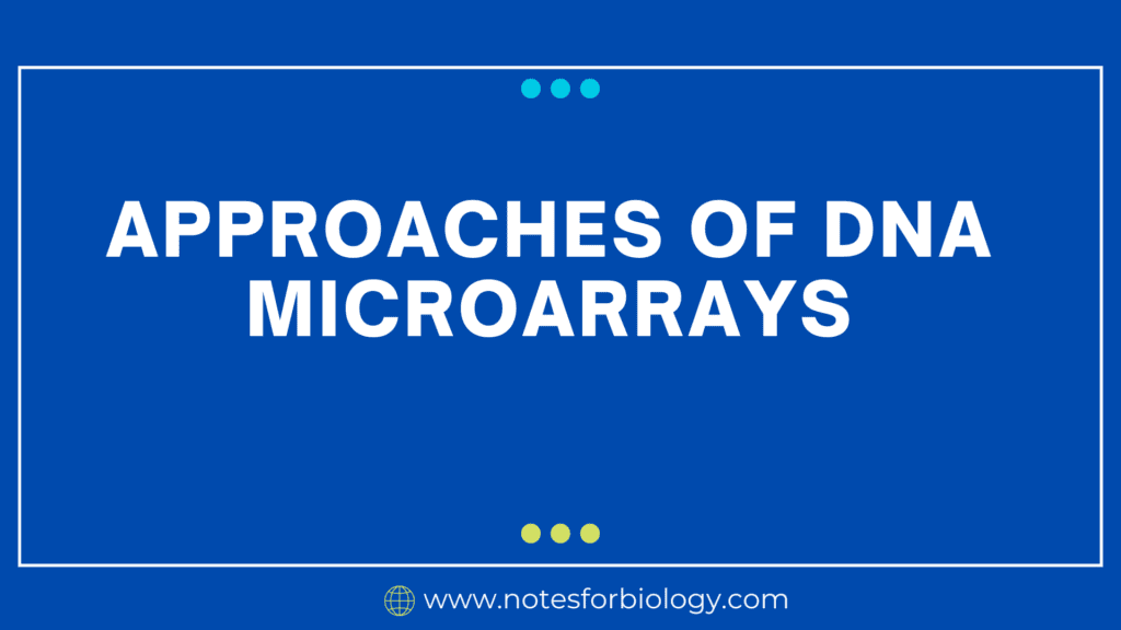 Approaches of DNA Microarrays
