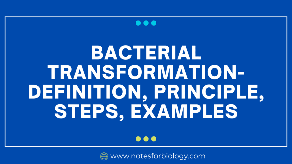 Bacterial Transformation- definition, principle, steps, examples