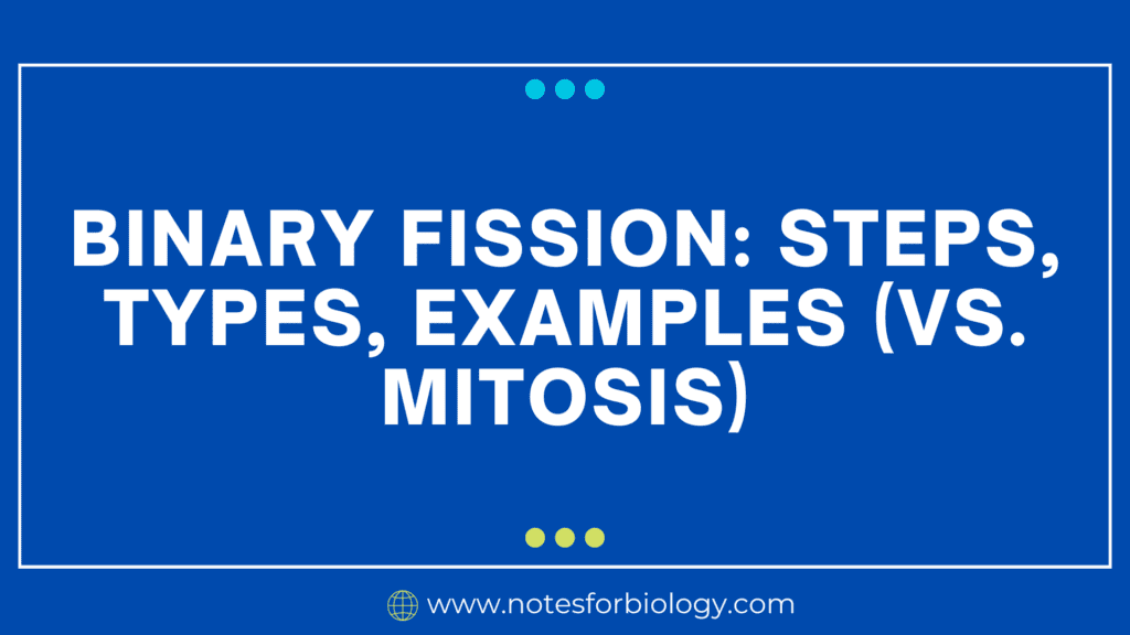 Binary Fission: Steps, Types, Examples (vs. Mitosis)