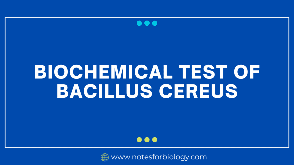 Biochemical Test of Bacillus cereus
