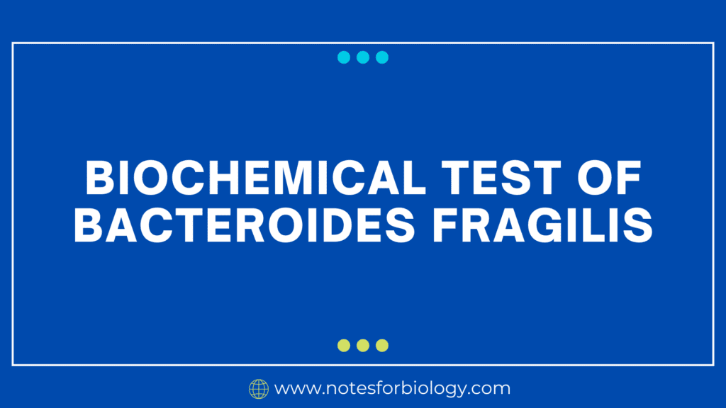 Biochemical Test of Bacteroides fragilis