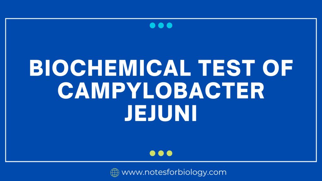 Biochemical Test of Campylobacter jejuni