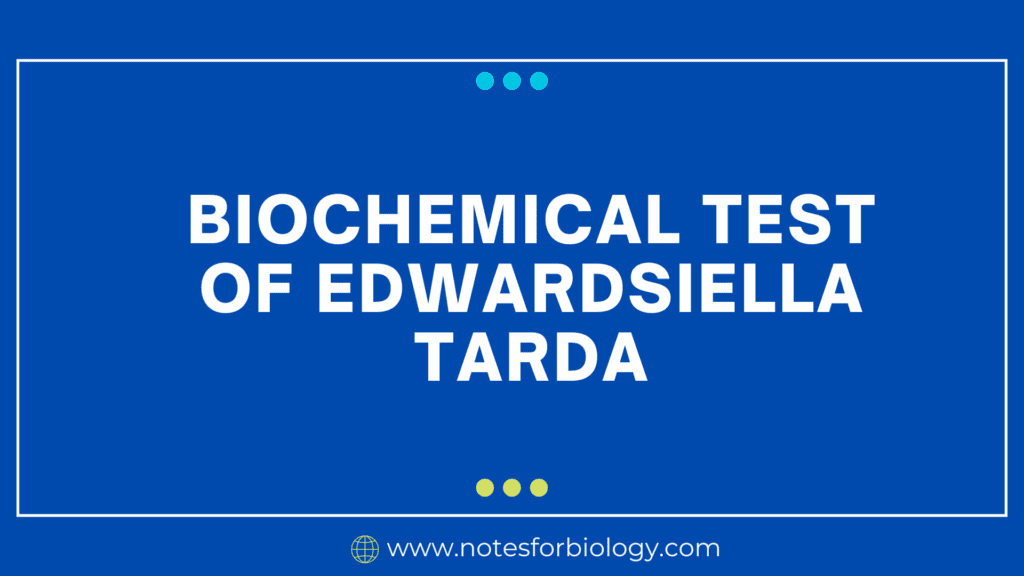 Biochemical Test of Edwardsiella tarda