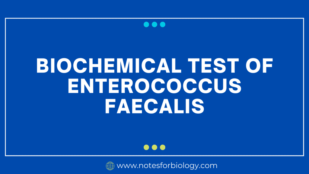 Biochemical Test of Enterococcus faecalis