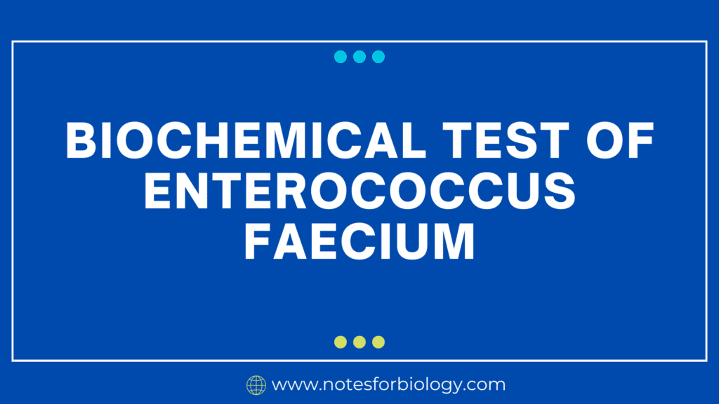 Biochemical Test of Enterococcus faecium
