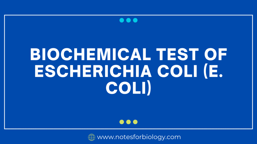 Biochemical Test of Escherichia coli (E. coli)