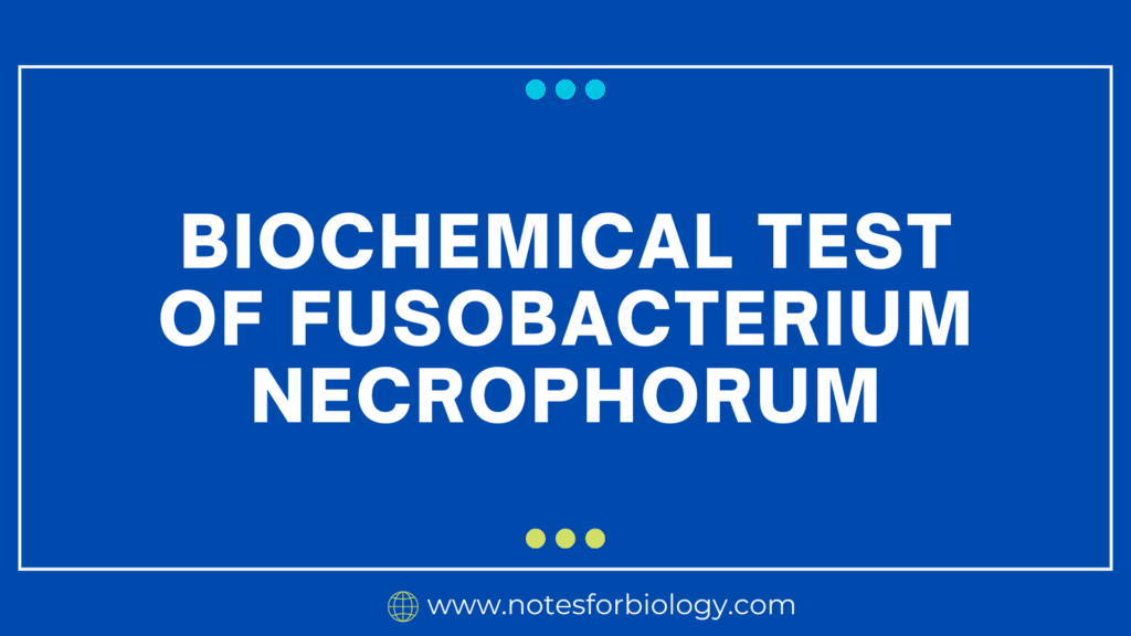 Biochemical Test of Fusobacterium necrophorum