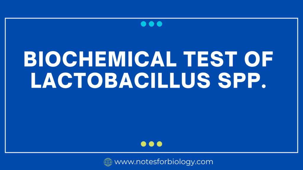 Biochemical Test of Lactobacillus spp.