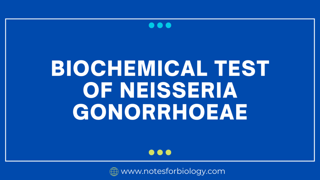 Biochemical Test of Neisseria gonorrhoeae
