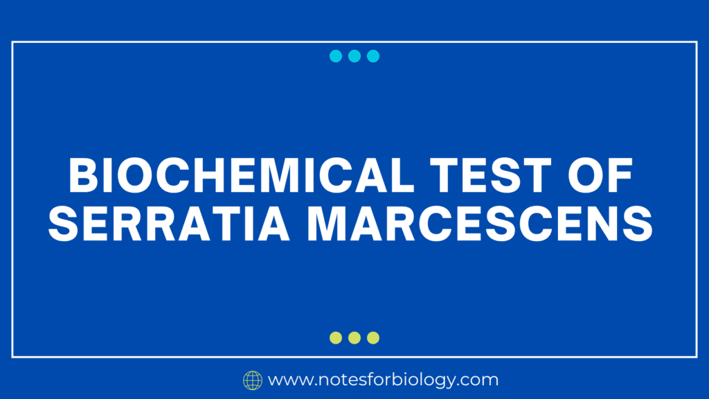 Biochemical Test of Serratia marcescens
