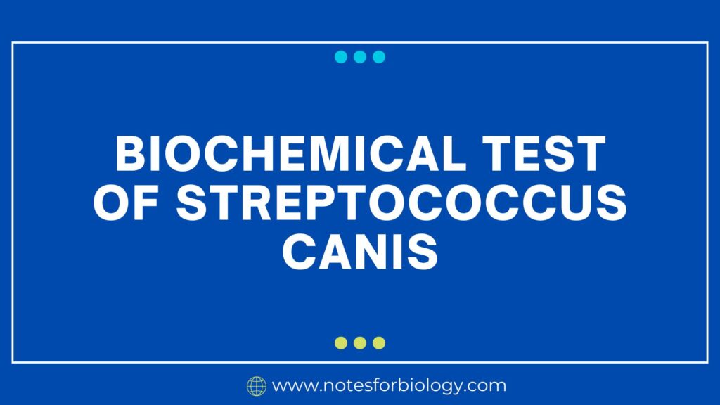 Biochemical Test of Streptococcus canis