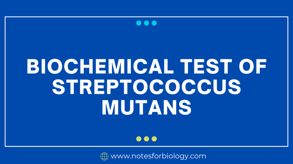 Biochemical Test of Streptococcus mutans
