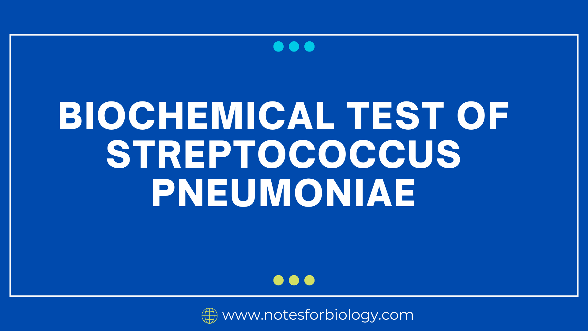 Streptococcus pneumoniae- Biochemical Test