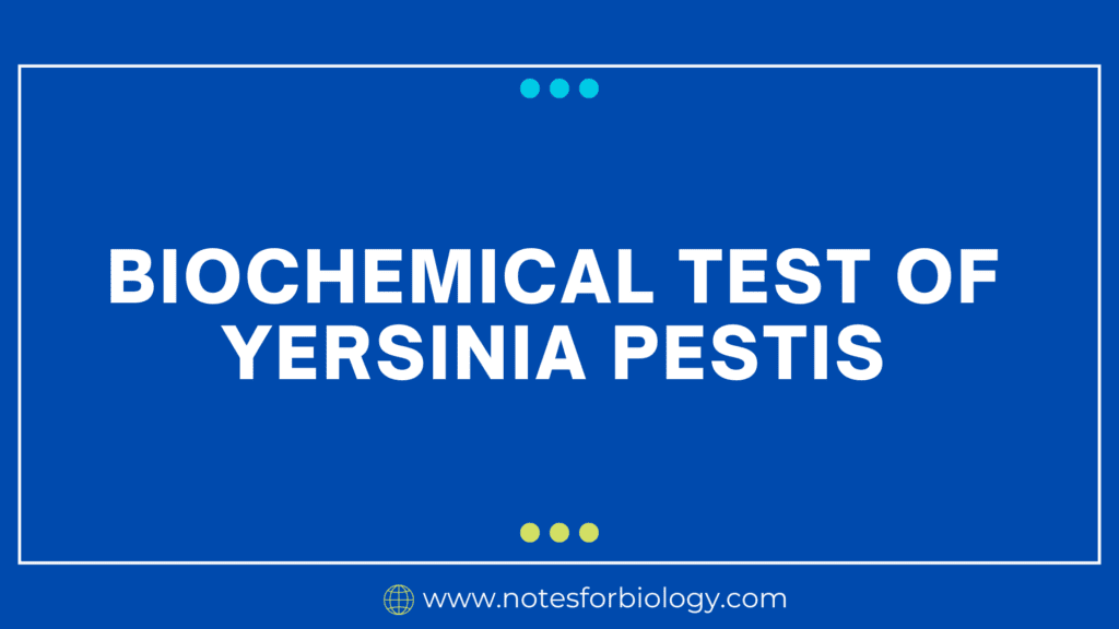 Gram Stain in Biochemical Test of Yersinia pestis