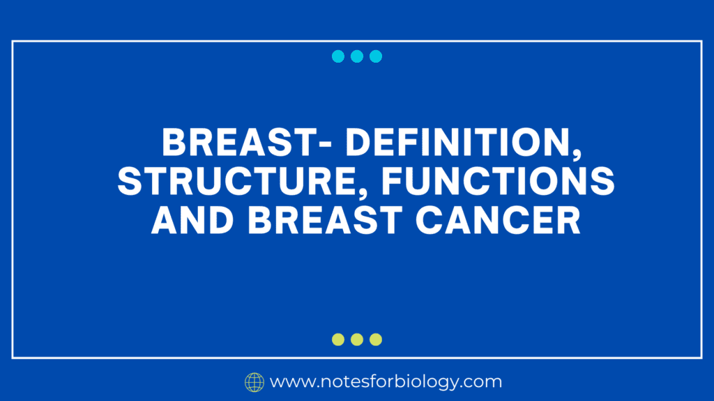 Breast- Definition, Structure, Functions and Breast Cancer