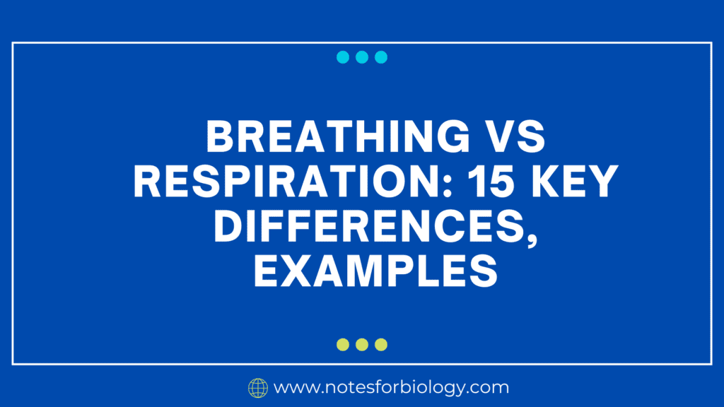 Breathing vs Respiration 15 Key Differences, Examples