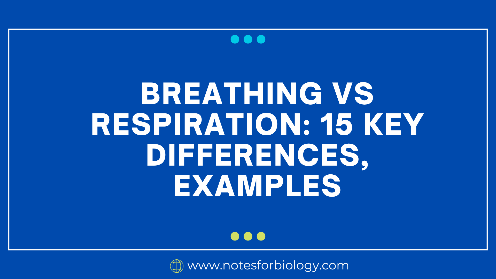 Breathing vs Respiration: 15 Key Differences, Examples