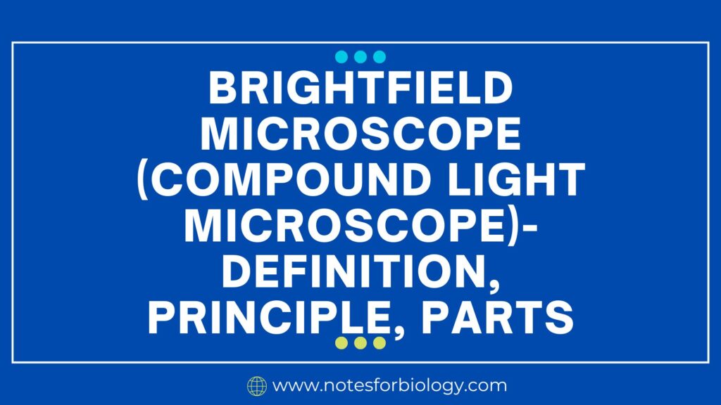 Brightfield Microscope (Compound Light Microscope)- Definition, Principle, Parts