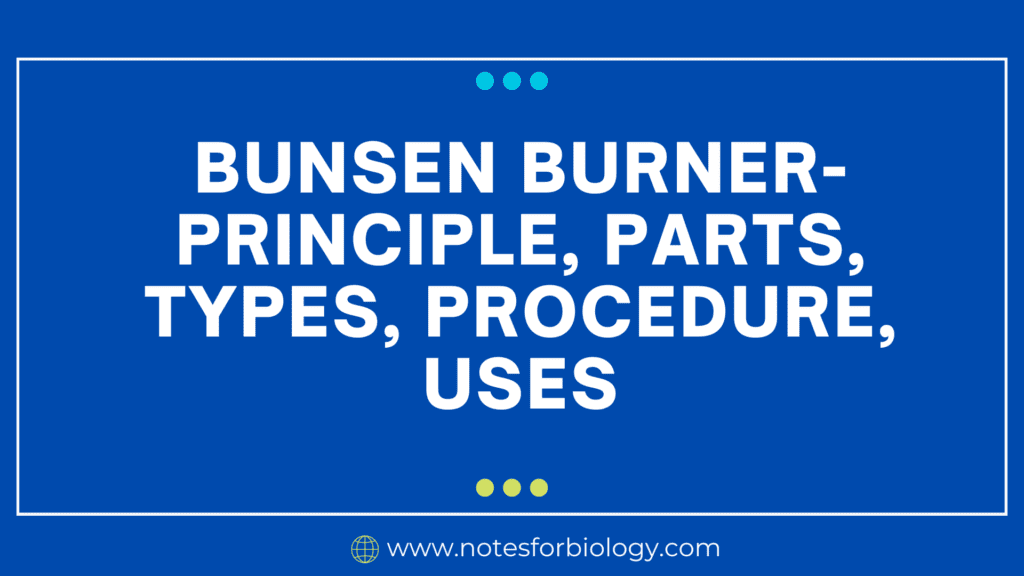 Bunsen Burner- Principle, Parts, Types, Procedure, Uses