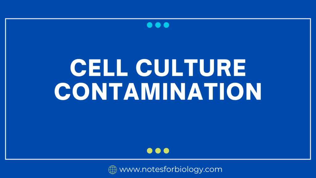 Cell culture contamination