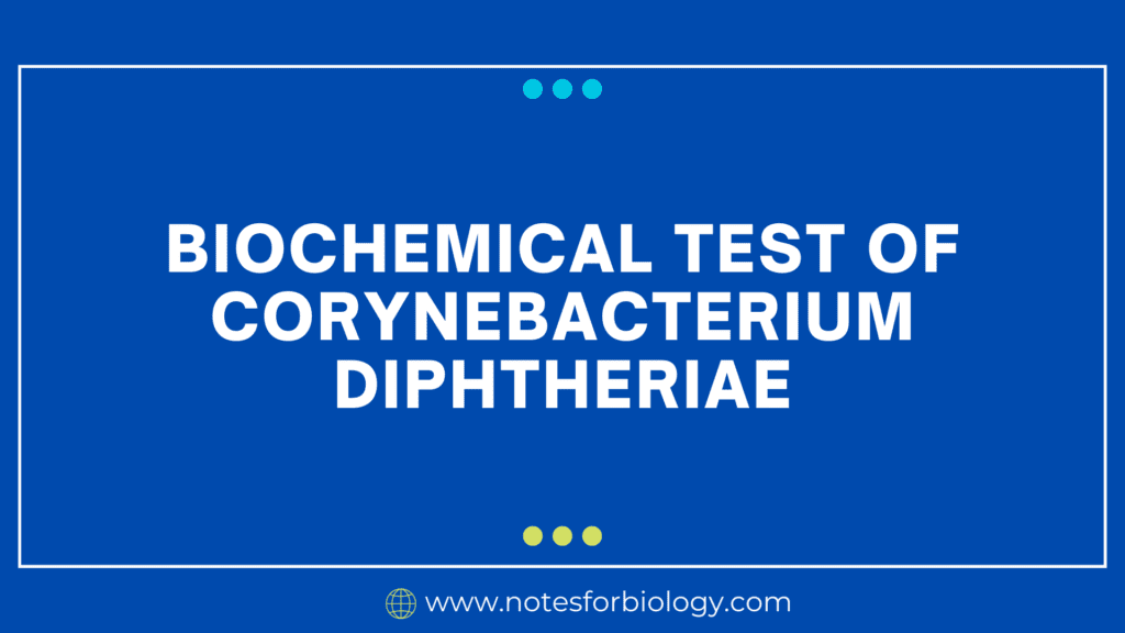 Biochemical Test of Corynebacterium diphtheriae