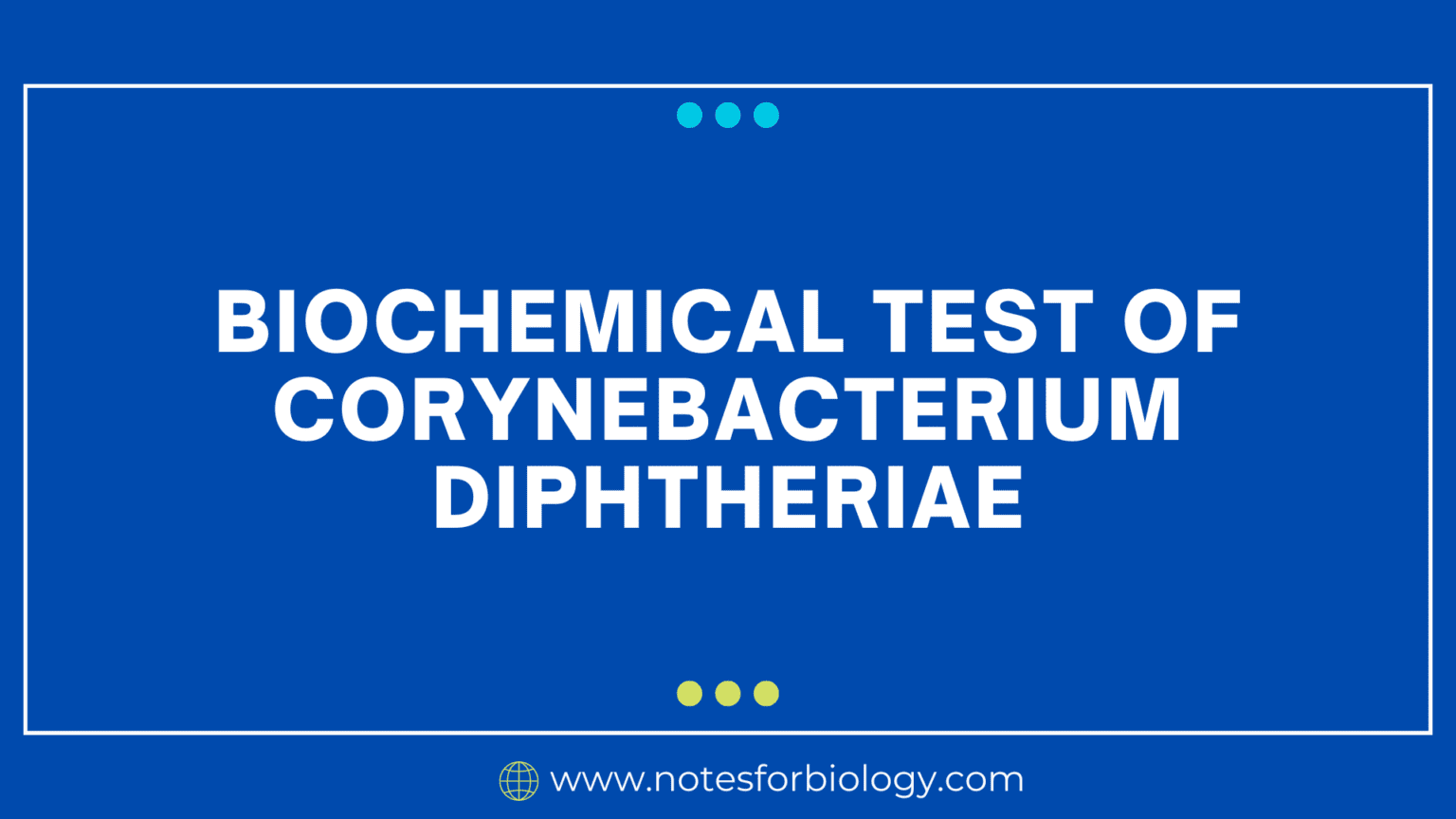 Corynebacterium Diphtheriae   Corynebacterium Diphtheriae Feature 1536x864 