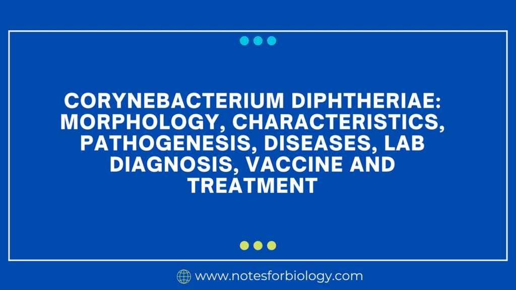 Corynebacterium diphtheriae morphology, characteristics, pathogenesis, diseases, lab diagnosis, vaccine and treatment