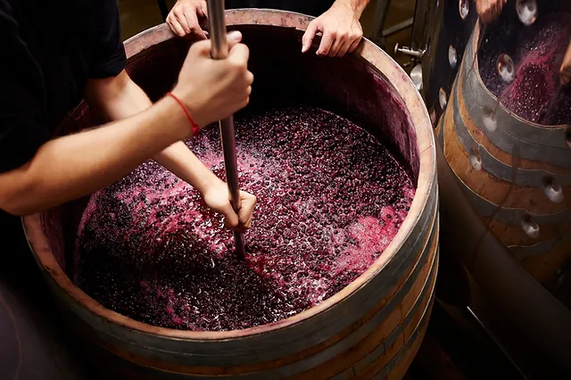 Wine production process