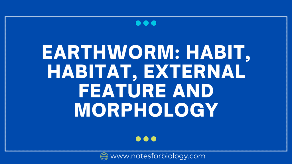 Earthworm: habit, habitat, external feature and morphology