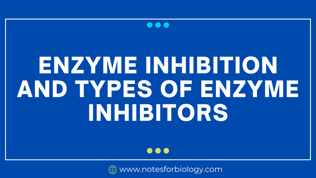 Enzyme inhibition and types of enzyme inhibitors