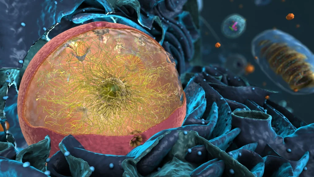 RNA Processing in eukaryotes