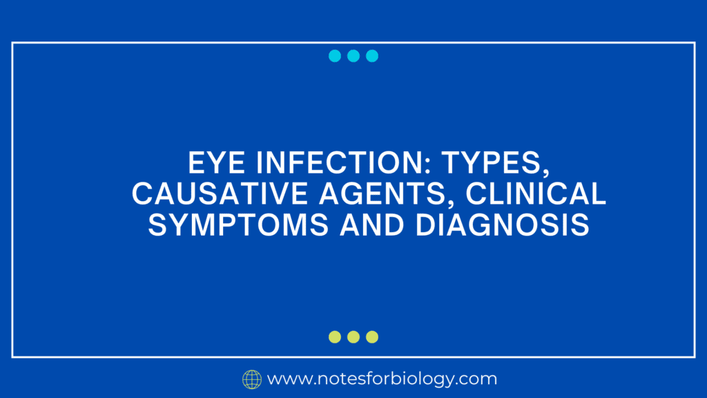 Eye infection types, causative agents, clinical symptoms and diagnosis