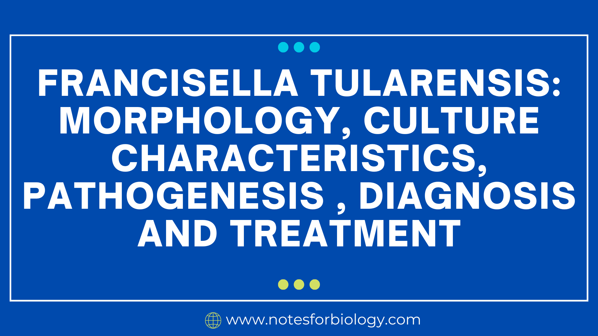 Francisella Tularensis Pathogenesis Diagnosis Treatment 9617