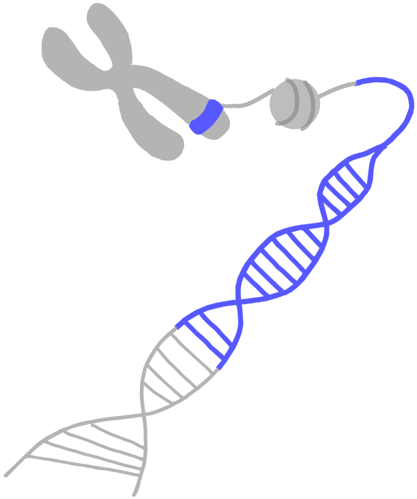 Bioinformatics)- Definition, 5 Types, Steps, Uses
