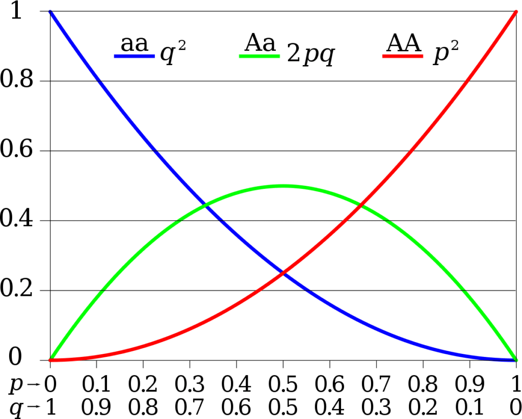 Hardy-Weinberg Principle