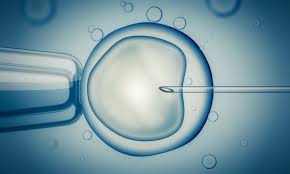 In vitro fertilization (IVF)