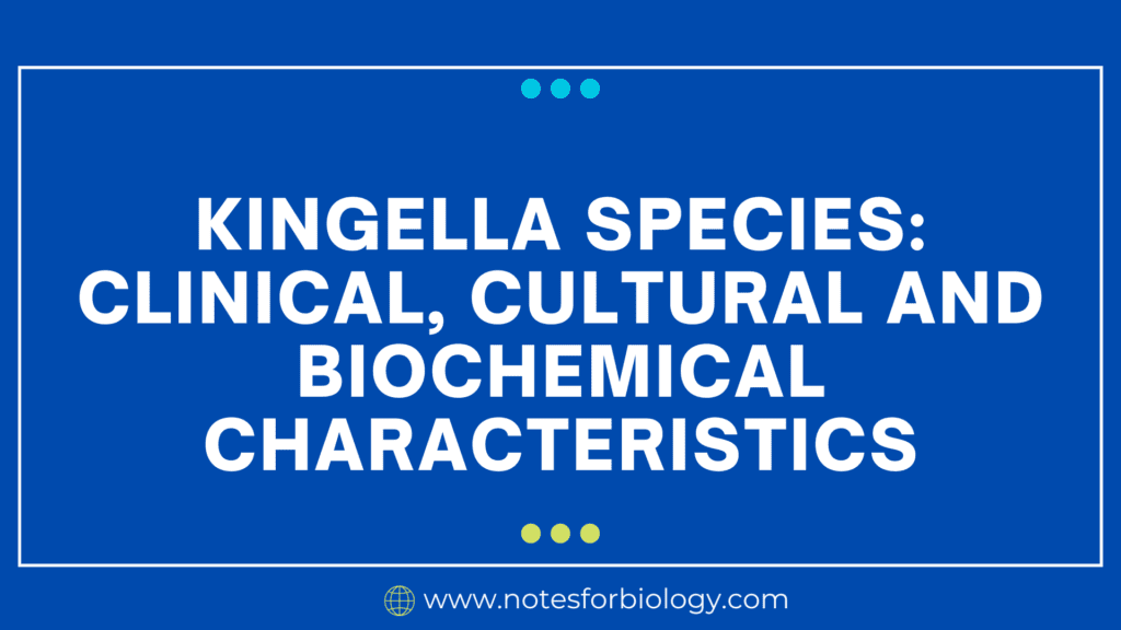 Kingella species clinical, cultural and biochemical characteristics