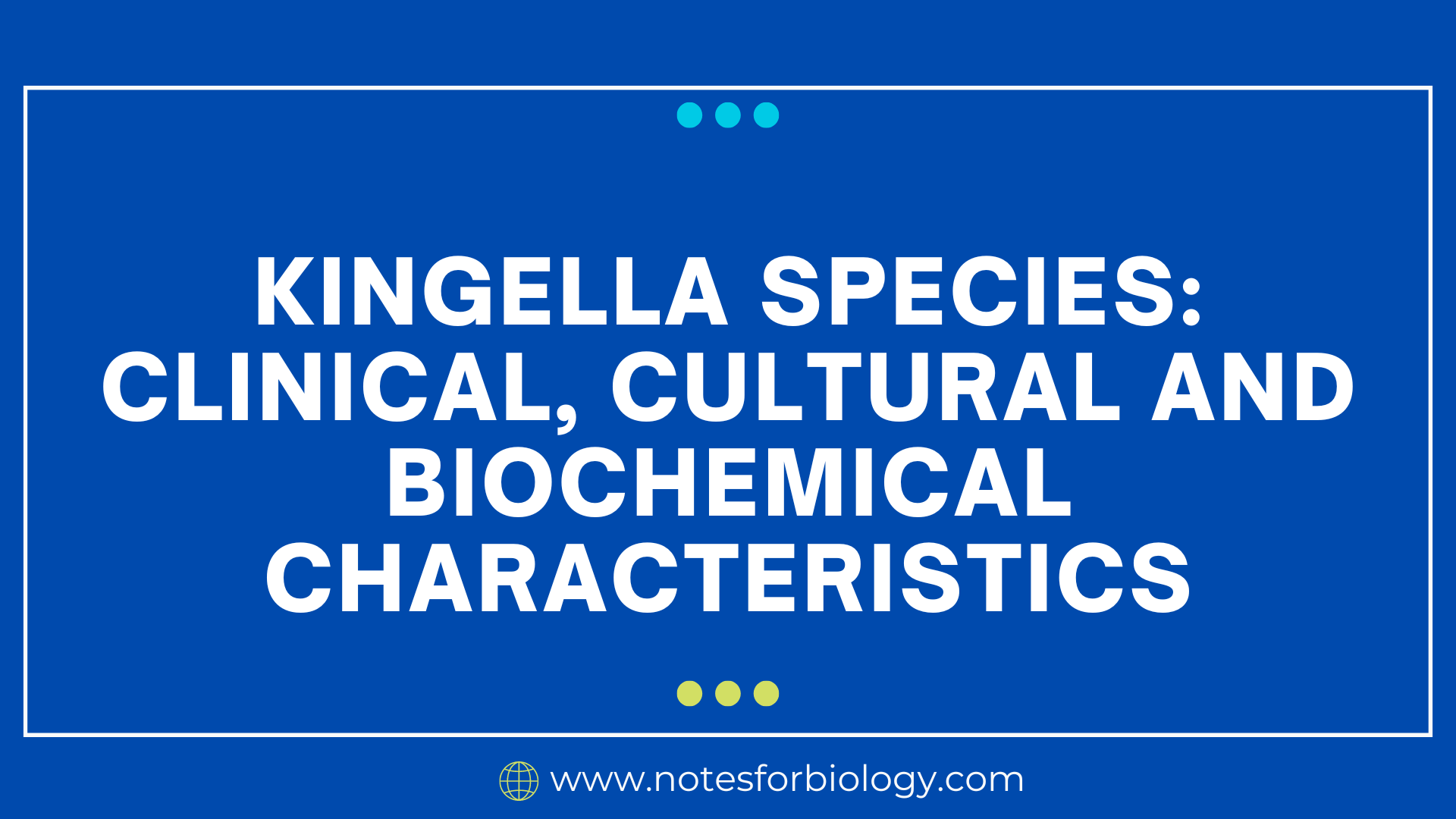 Kingella species: clinical, cultural and biochemical...