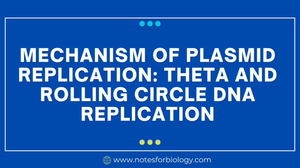 Mechanism of Plasmid replication theta and rolling circle DNA replication