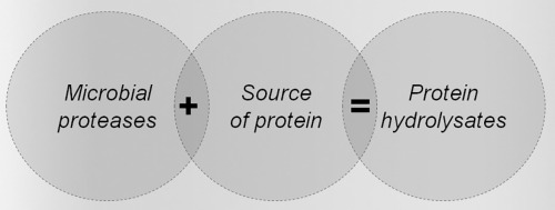 Microbial Proteases industrial application and production process