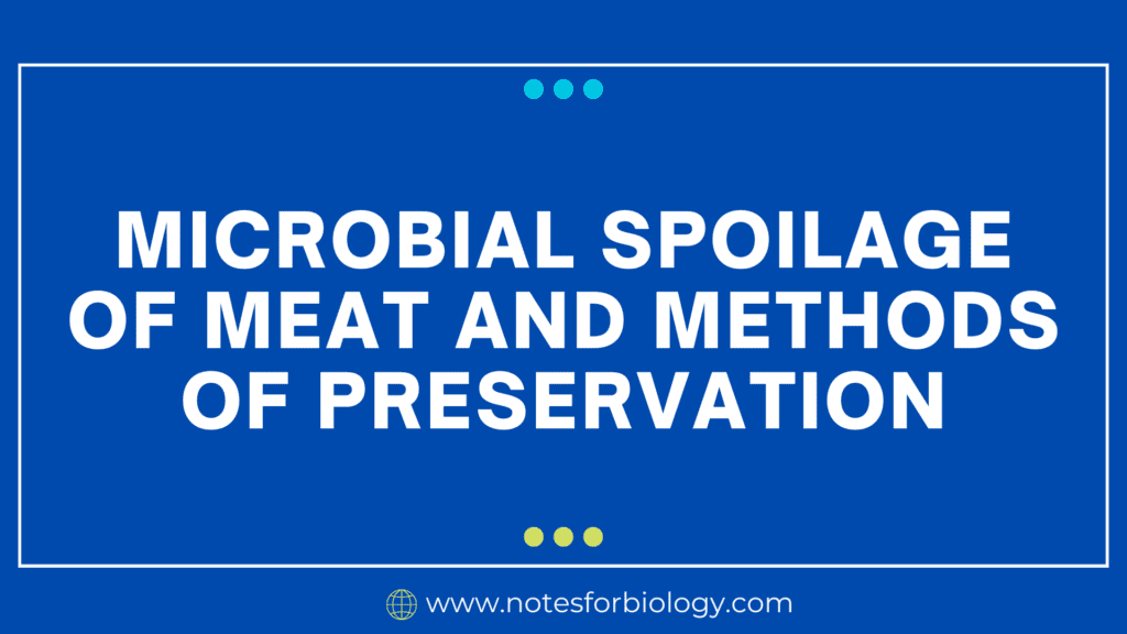 Microbial spoilage of meat and methods of preservation