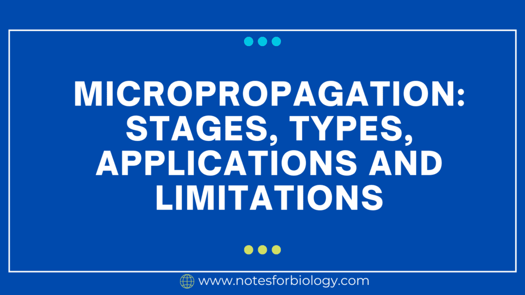 Micropropagation stages, types, applications and limitations