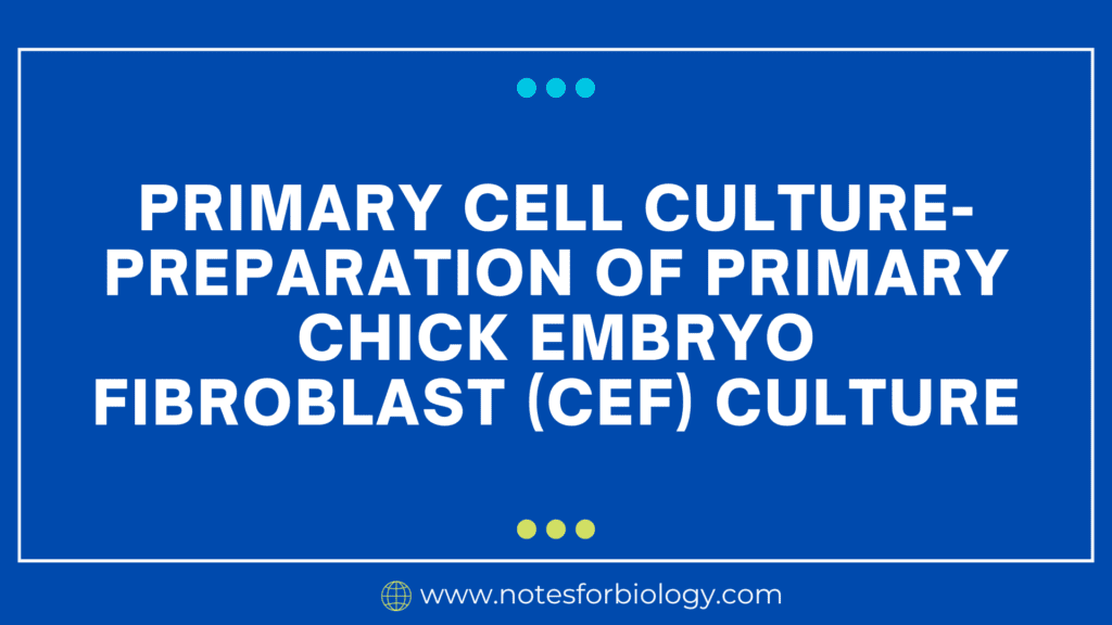 Primary cell culture-Preparation of primary chick embryo fibroblast (CEF) culture