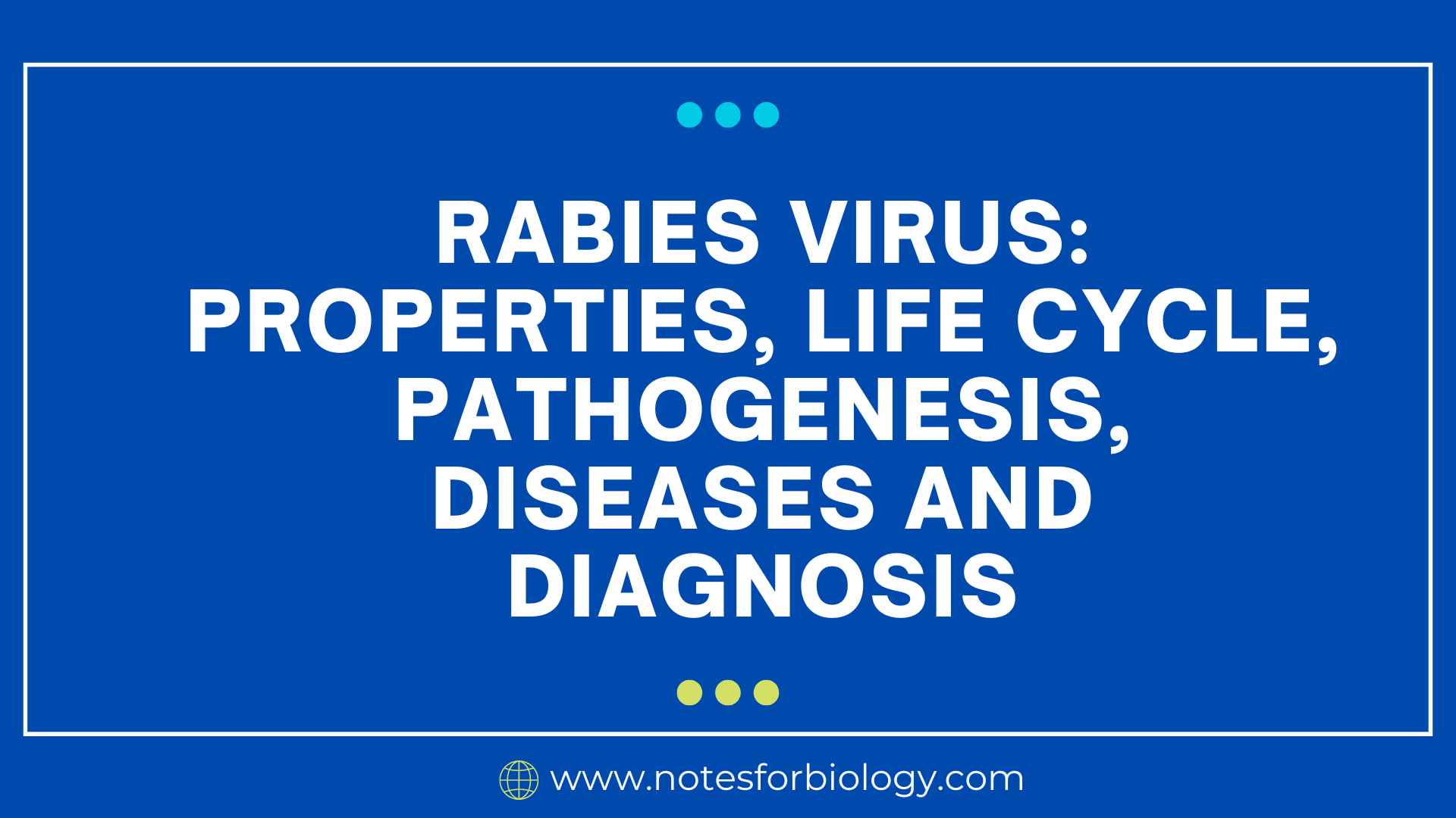 Rabies virus: Properties, life cycle, pathogenesis, diseases