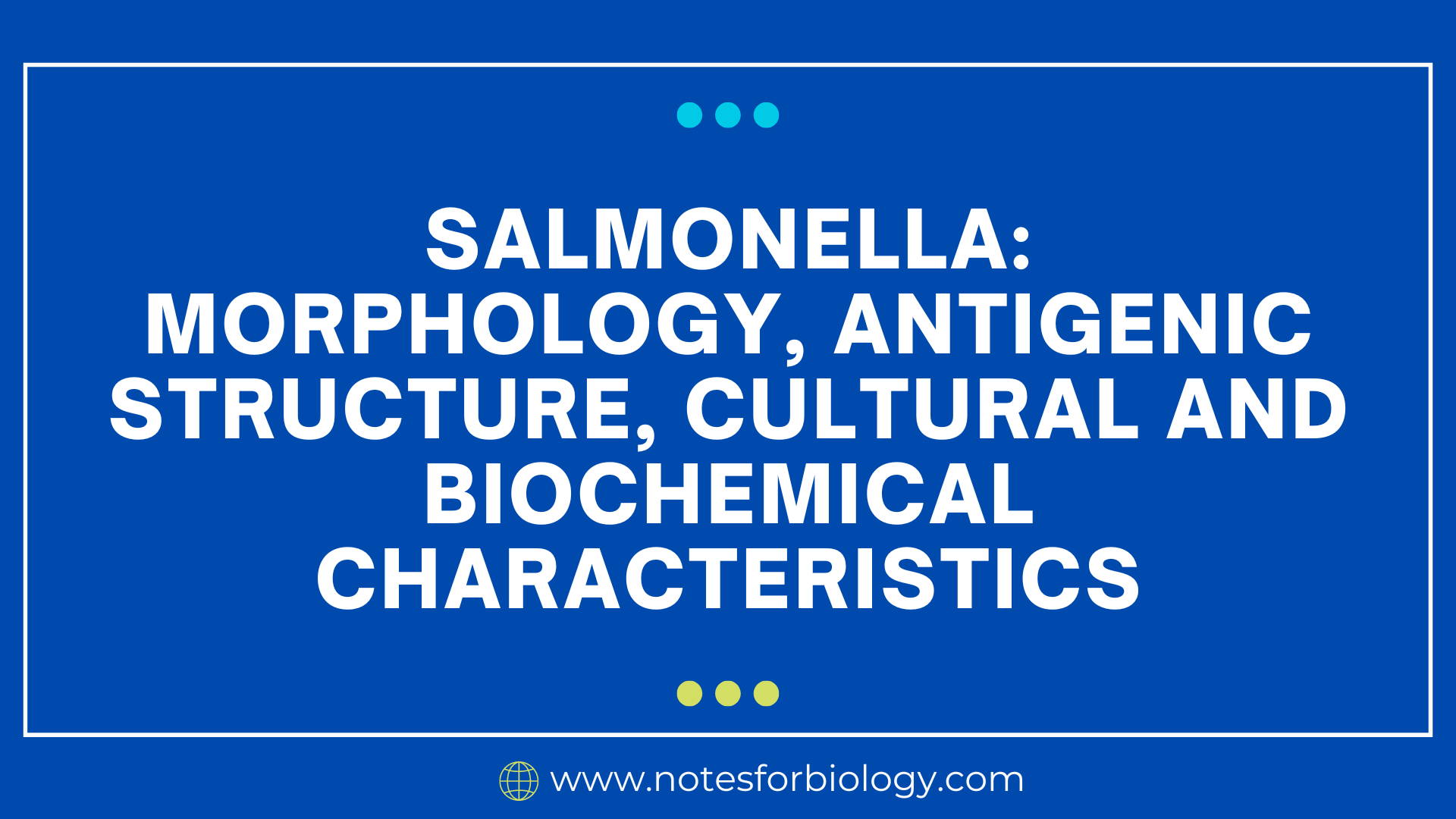 Salmonella: morphology, antigenic structure, cultural