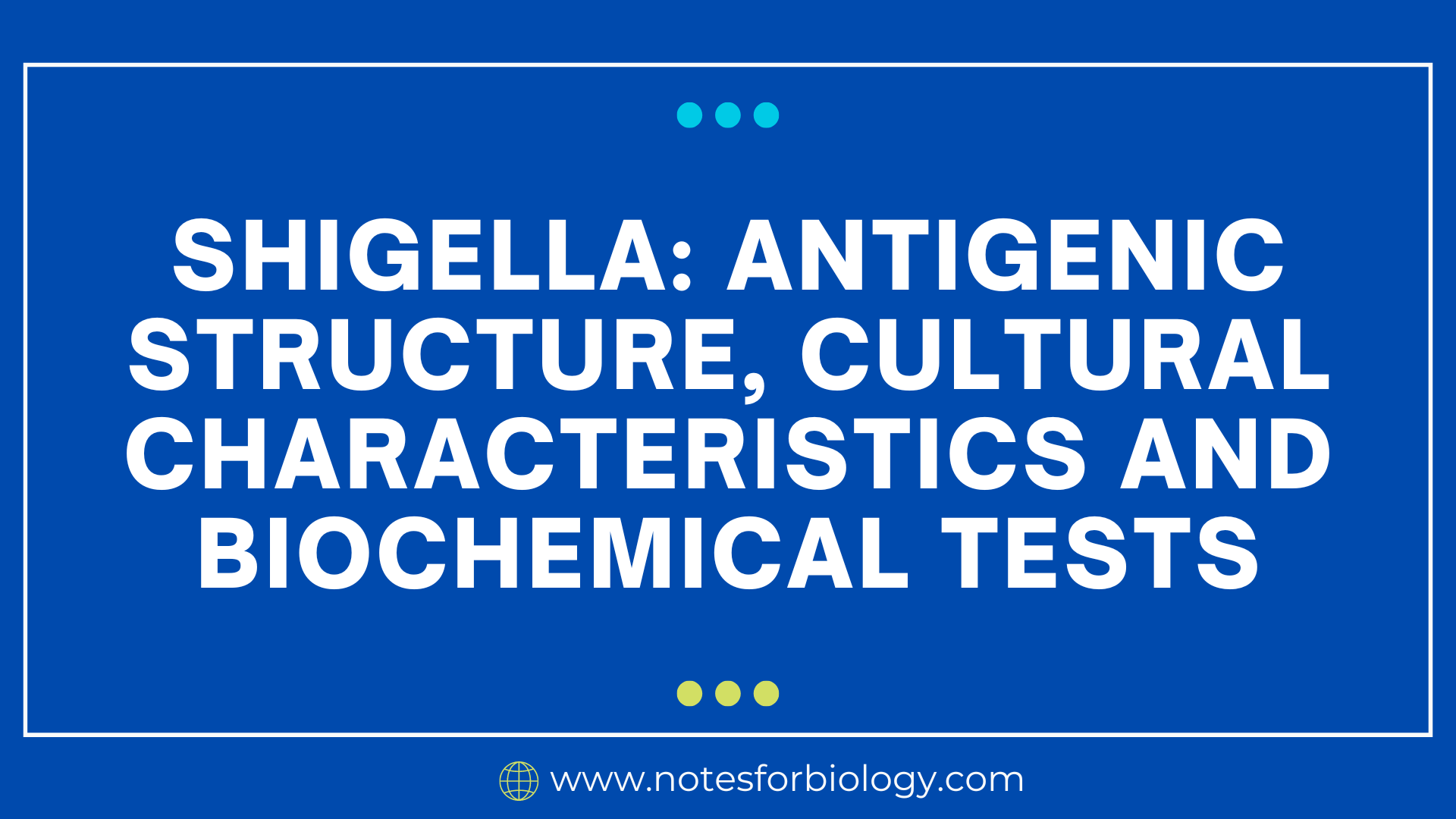 Shigella Antigenic Structure Cultural Characteristics