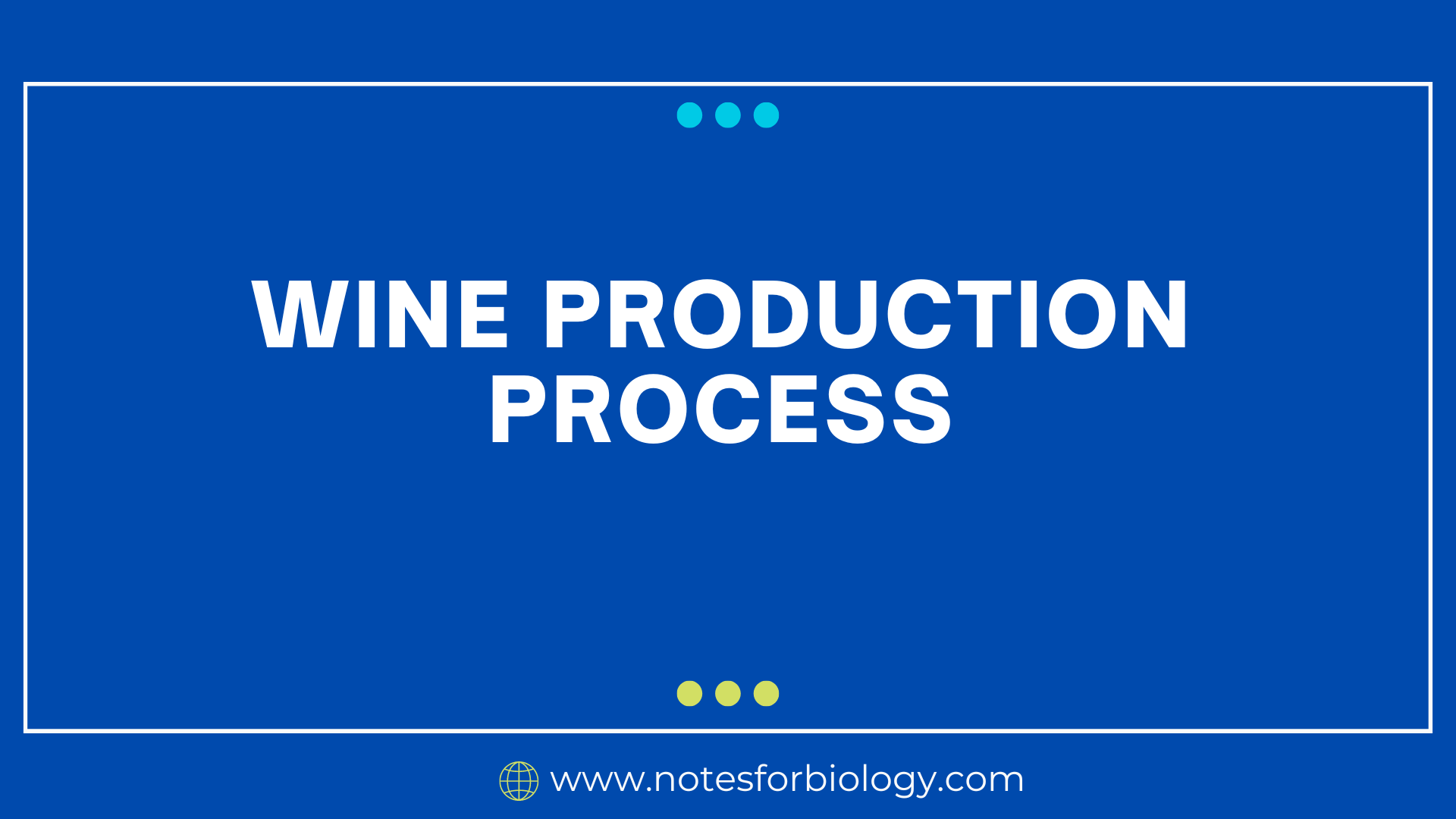 Wine production process - Best Biology Notes, Reference,...